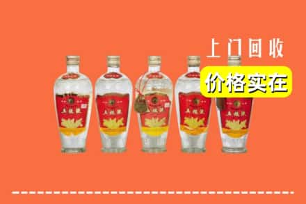 诚信求购:南通市海安高价回收老五粮液